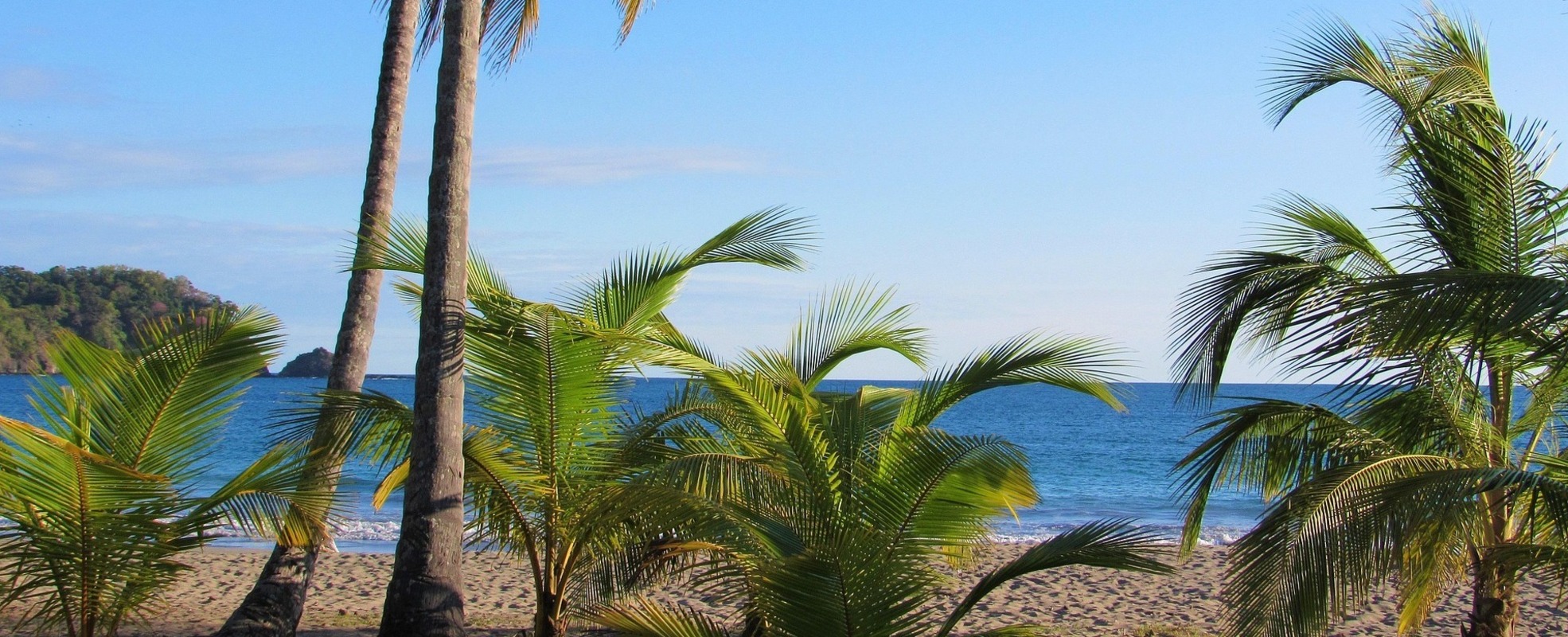 Benz Auslandszeit beim Tierschutz-Projekt in Costa Rica