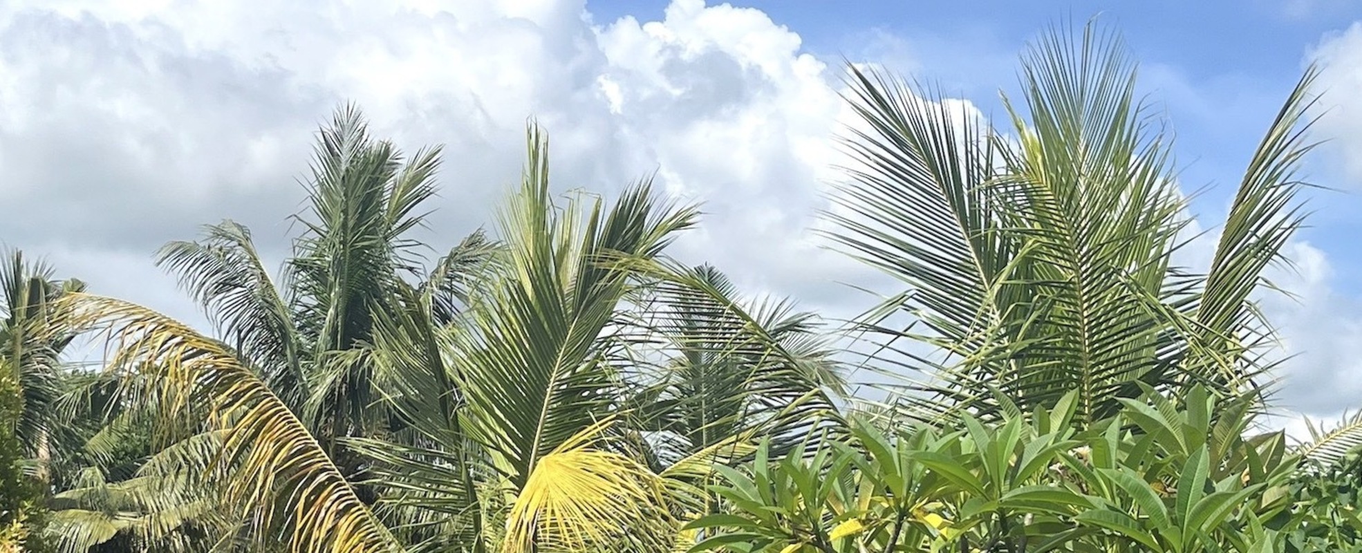Jarmos Freiwilligenarbeit beim Englisch unterrichten in einer Schule auf Bali