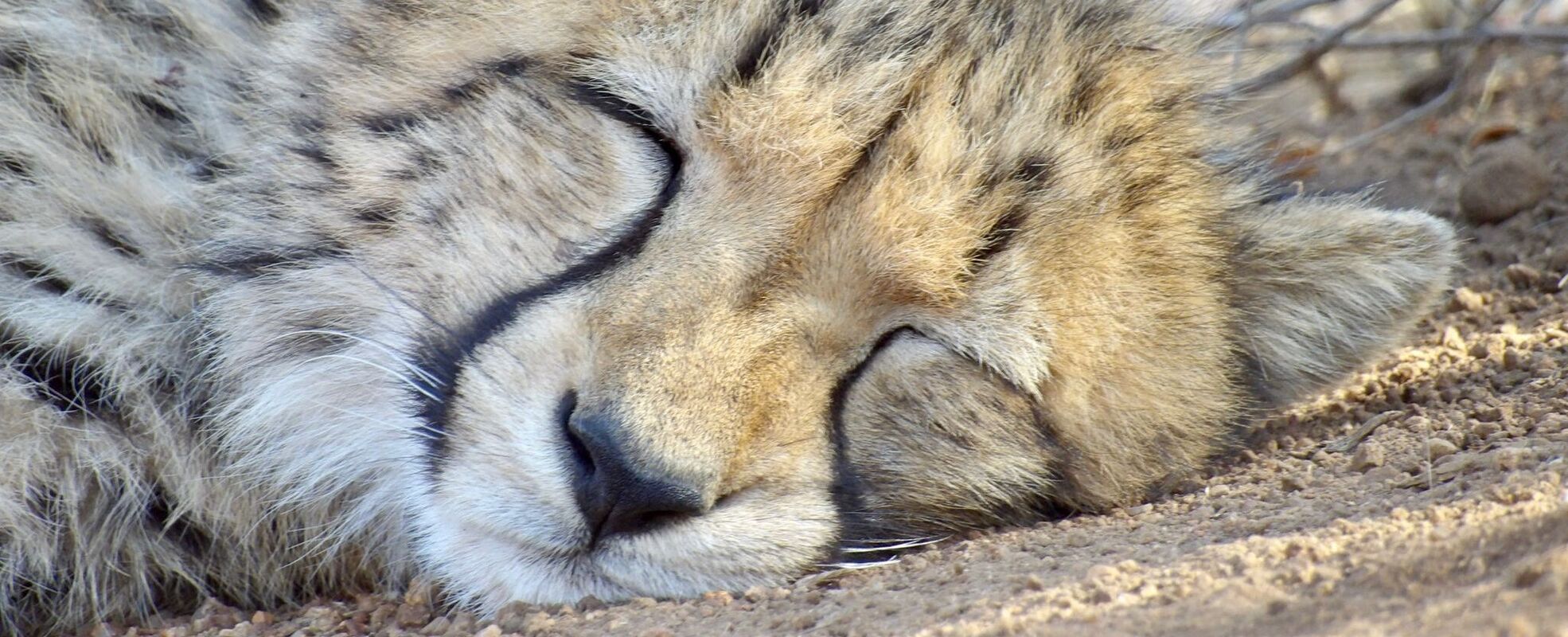 Erfahrungsbericht von Clara in Südafrika
