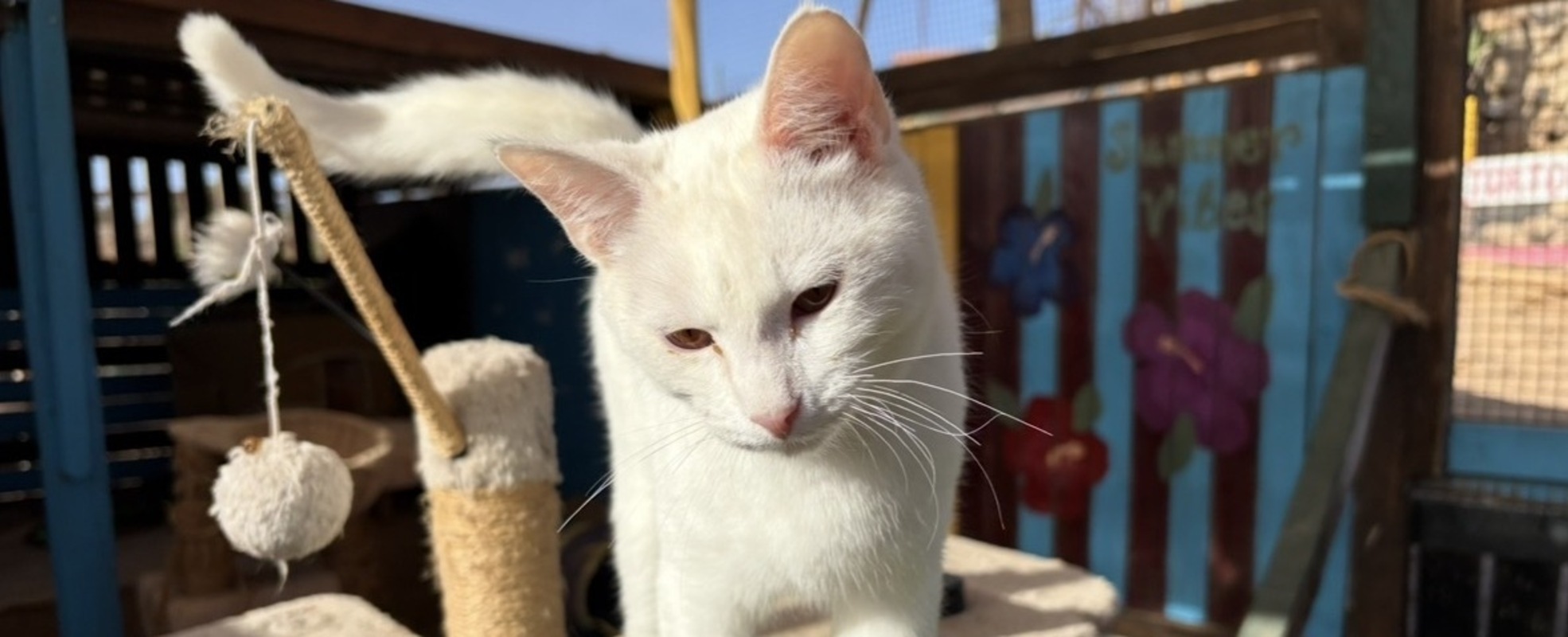 Erfahrungsbericht von Marieke auf Teneriffa