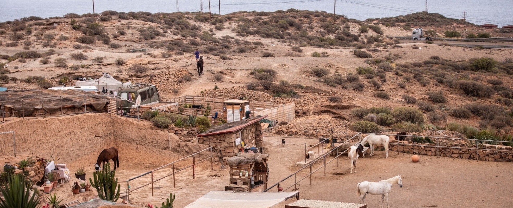 Vivianas Erfahrung auf Teneriffa