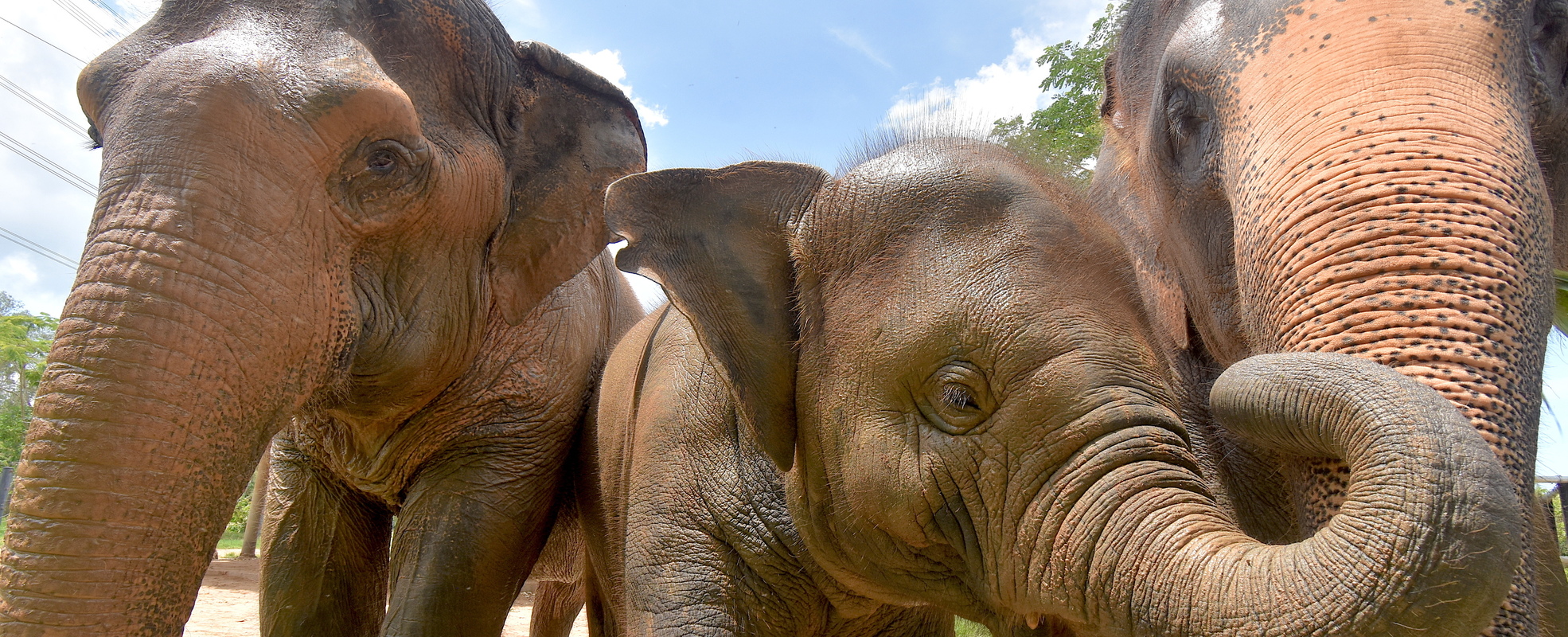 Carolins Erfahrung in Thailand