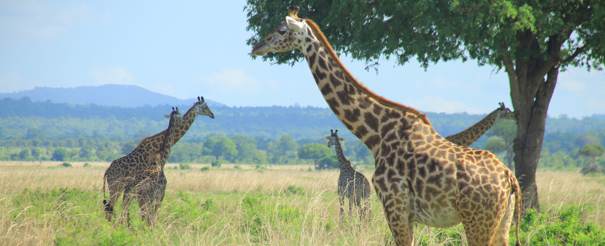 Laras Erfahrung in Tansania