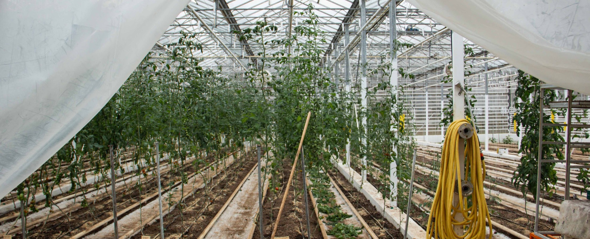 Junes Erfahrung in Island