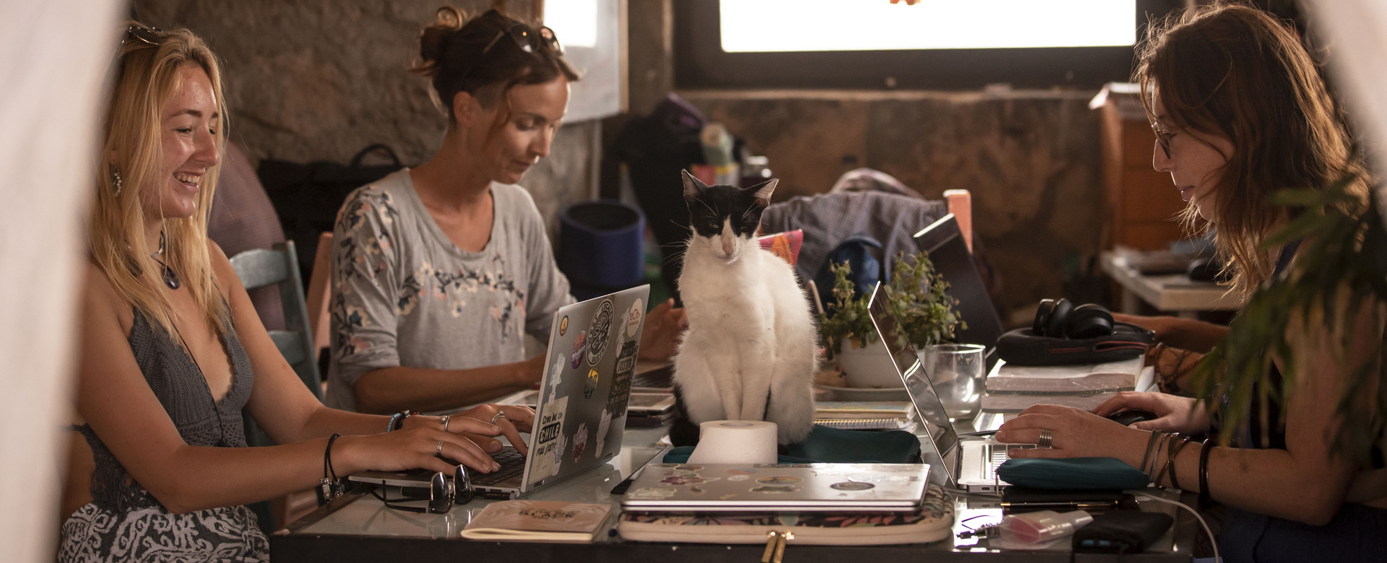 Arbeiten im Ausland Teneriffa 