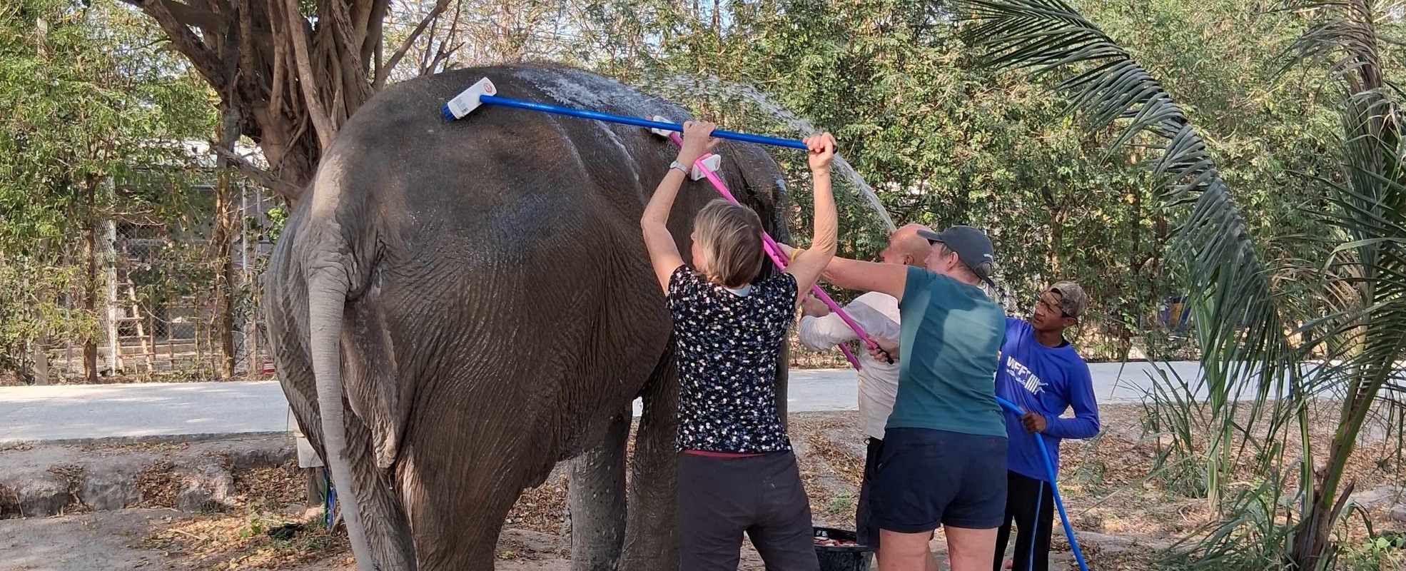 Kornelias Erfahrung in Thailand