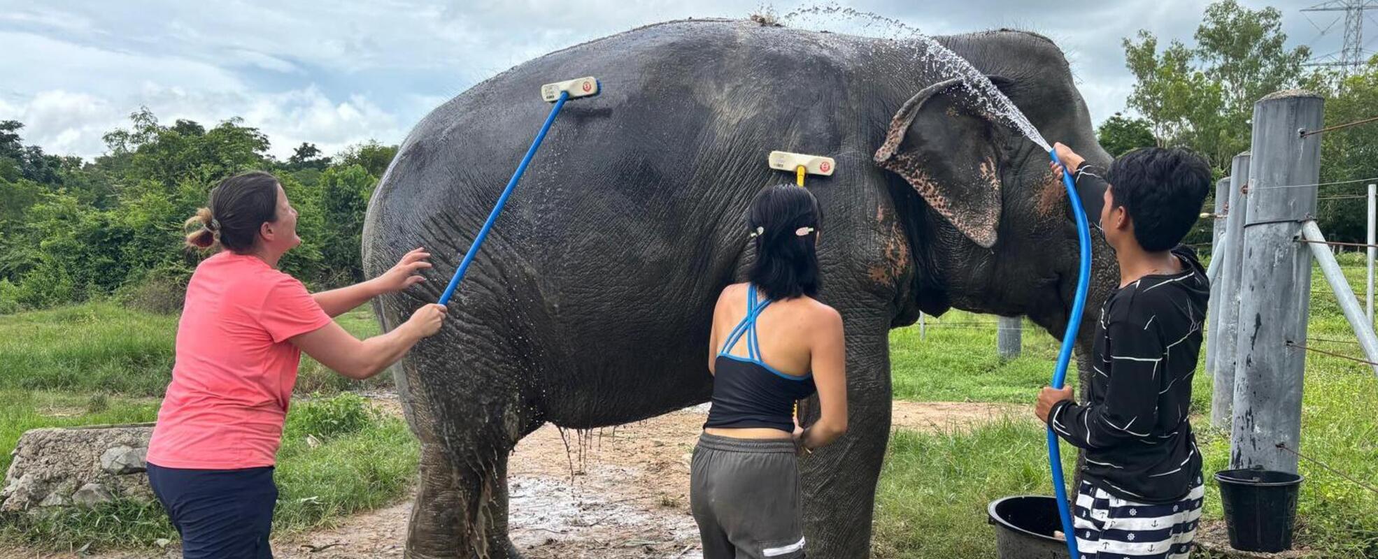 Denises Erfahrung in Thailand