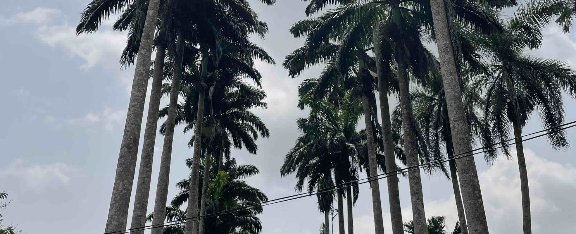 Erfahrungsbericht von Amelie in Ghana