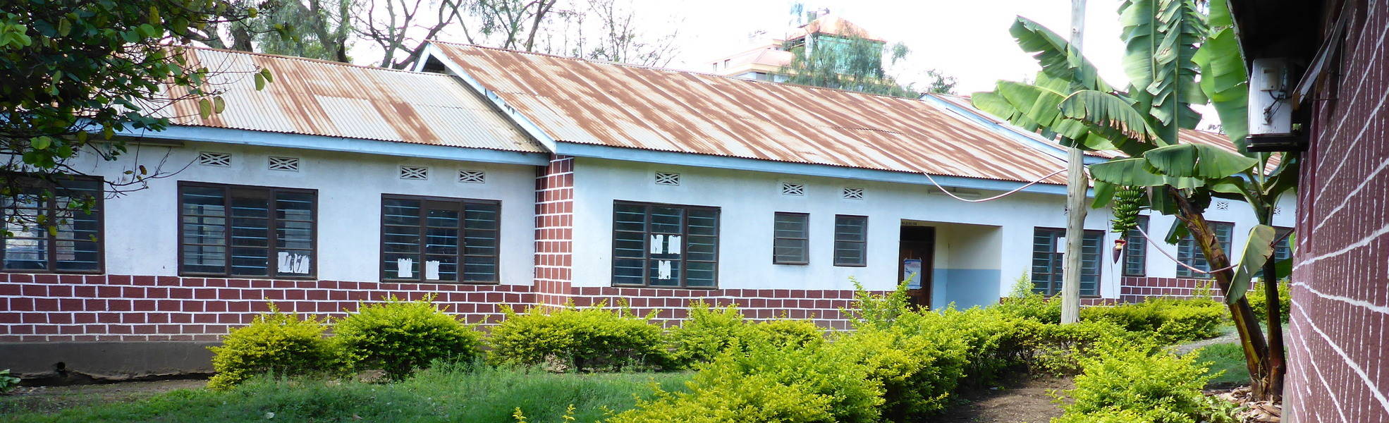 Online-Magazin zu Themen rund um Freiwilligenarbeit im Ausland