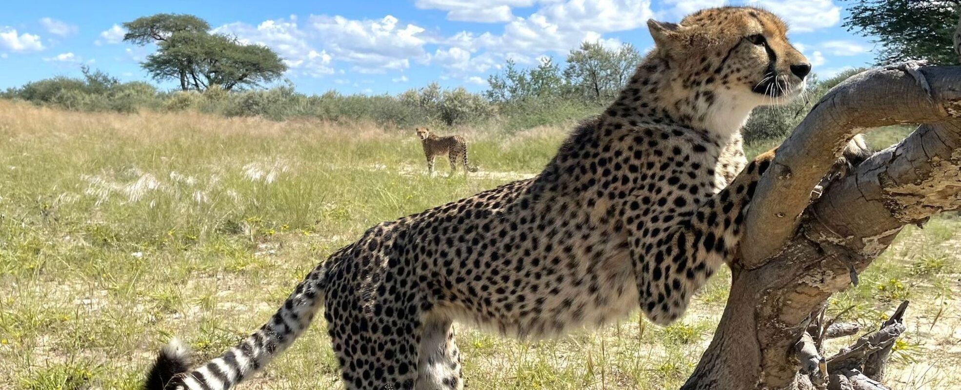 Pauls Erfahrung in Namibia