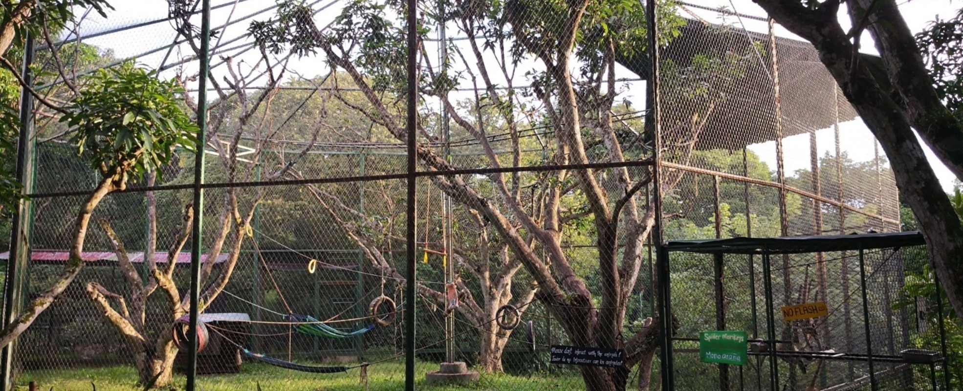 Auffangstation für Affen