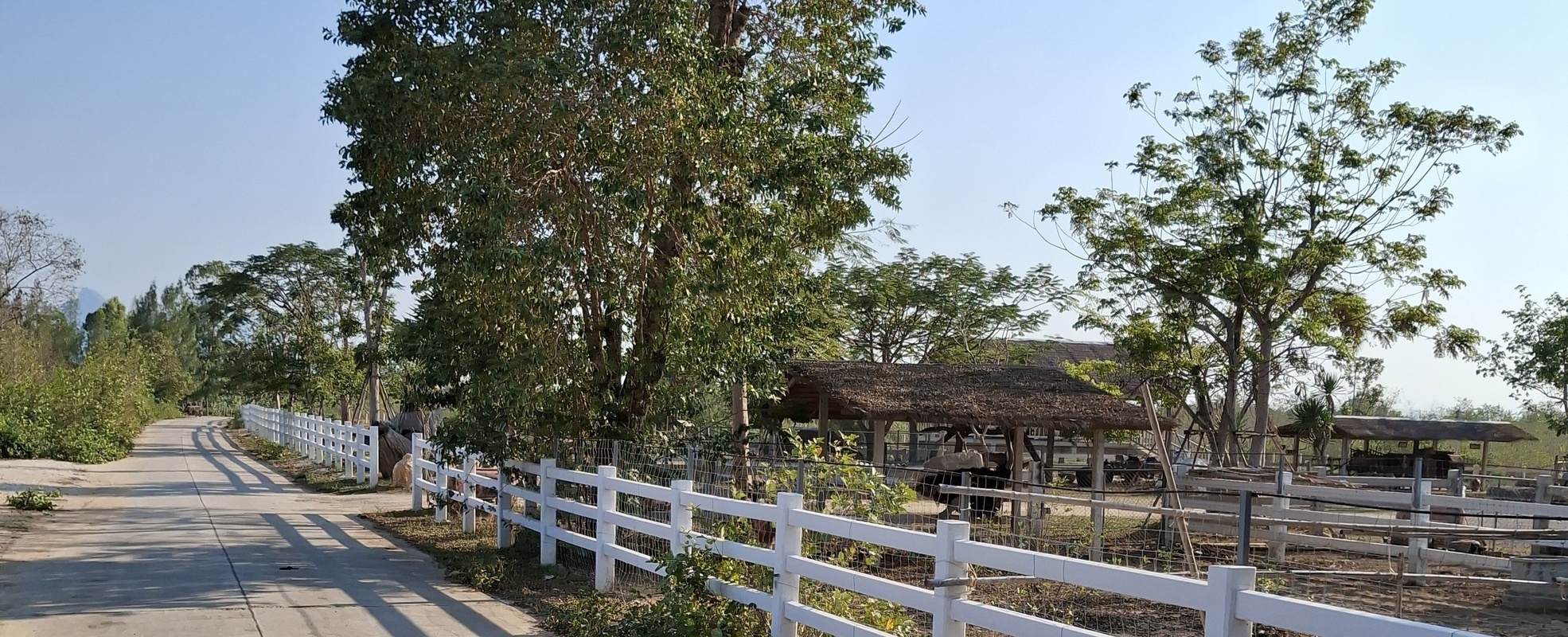 Linus Erfahrung in Thailand