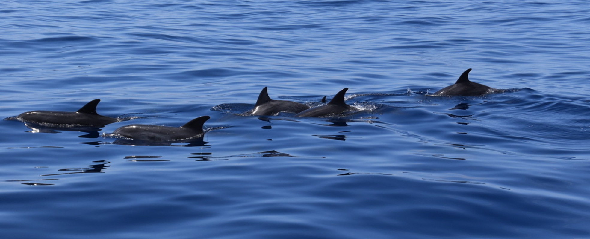 Viktorias Erfahrung in Spanien