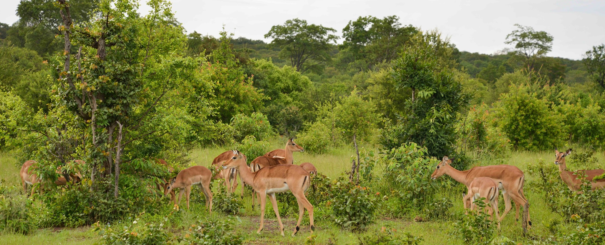 Letizias Erfahrung in Simbabwe