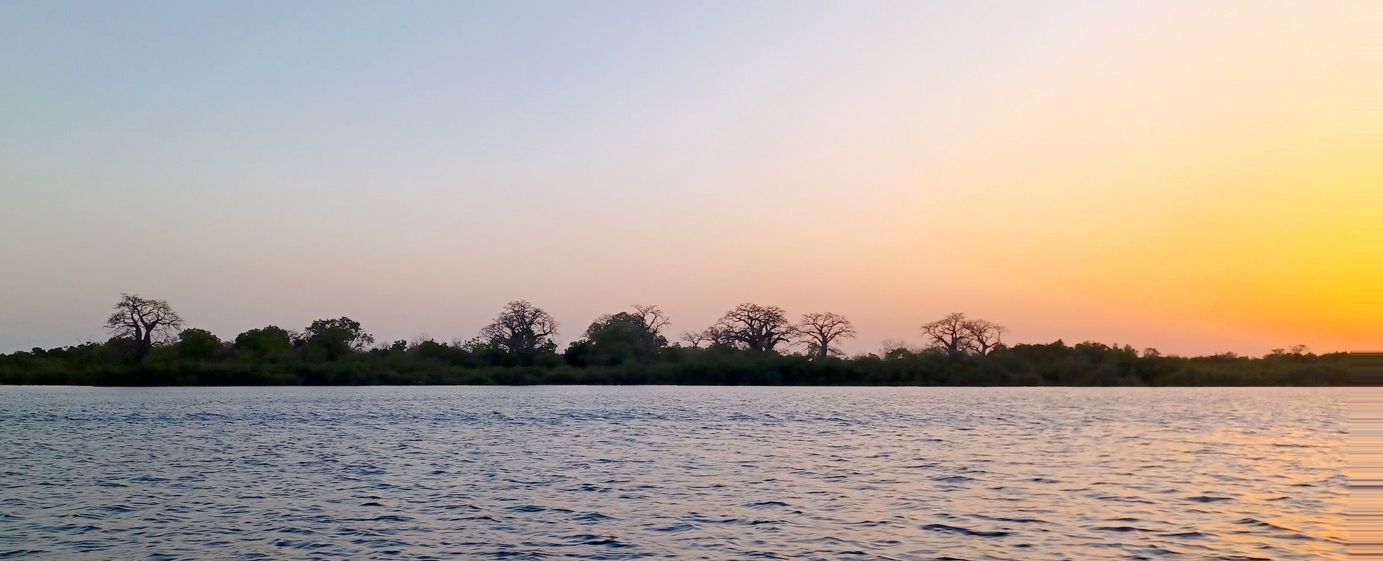 Ausflug zu einem Nationalpark im Senegal