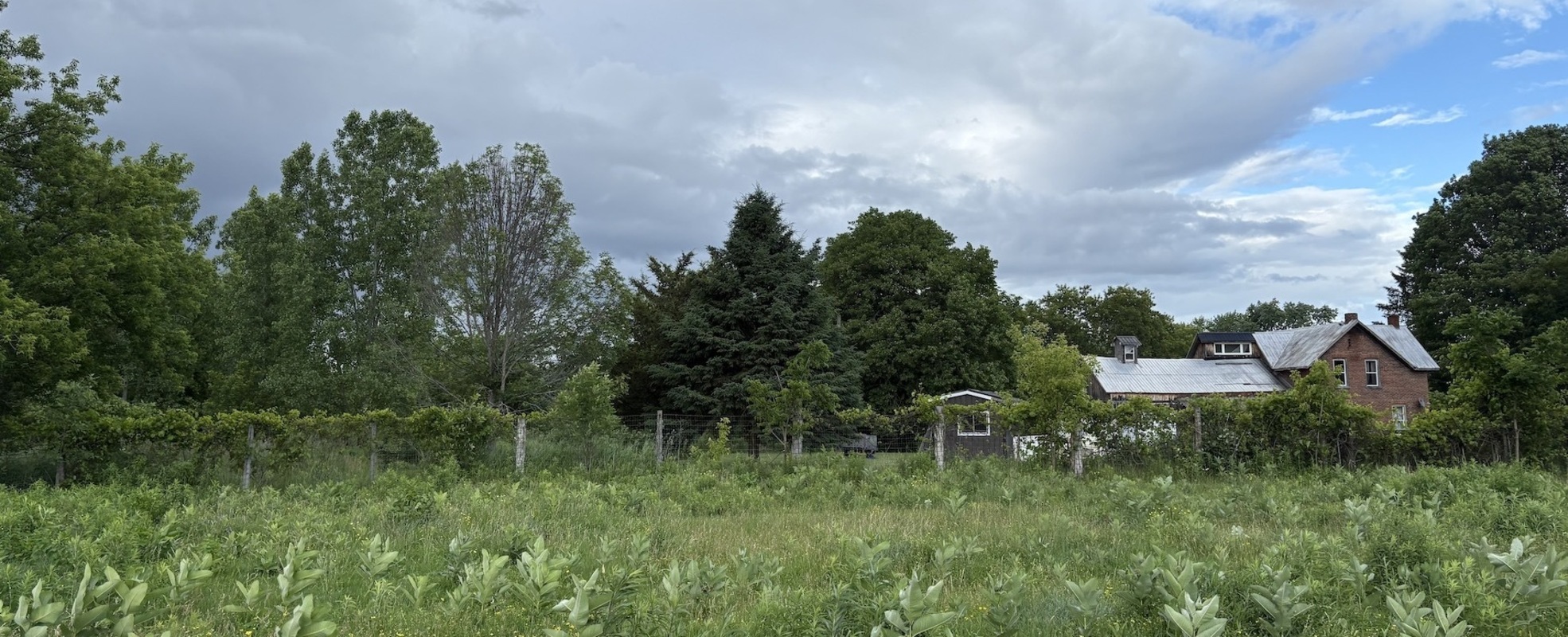 Wiese mit Haus in Kanada
