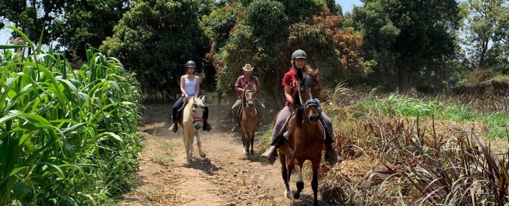 In Peru am Pferdereiten