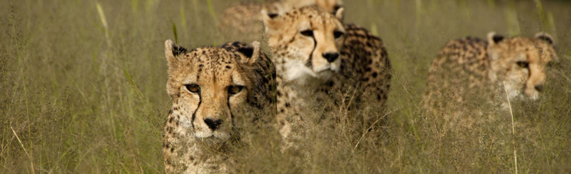 Freiwilligenarbeit Namibia