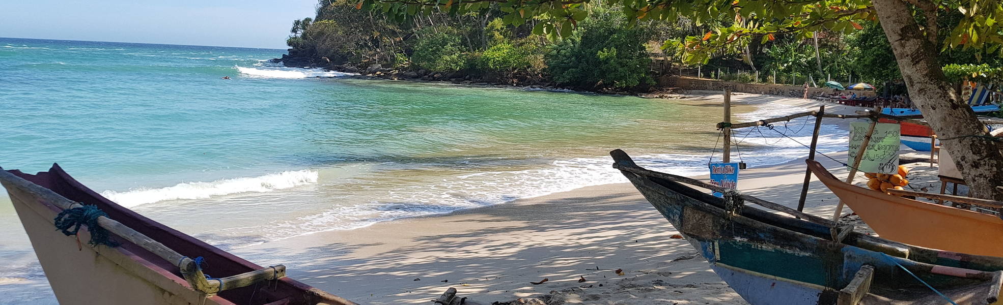 Freiwilligenarbeit Sri Lanka