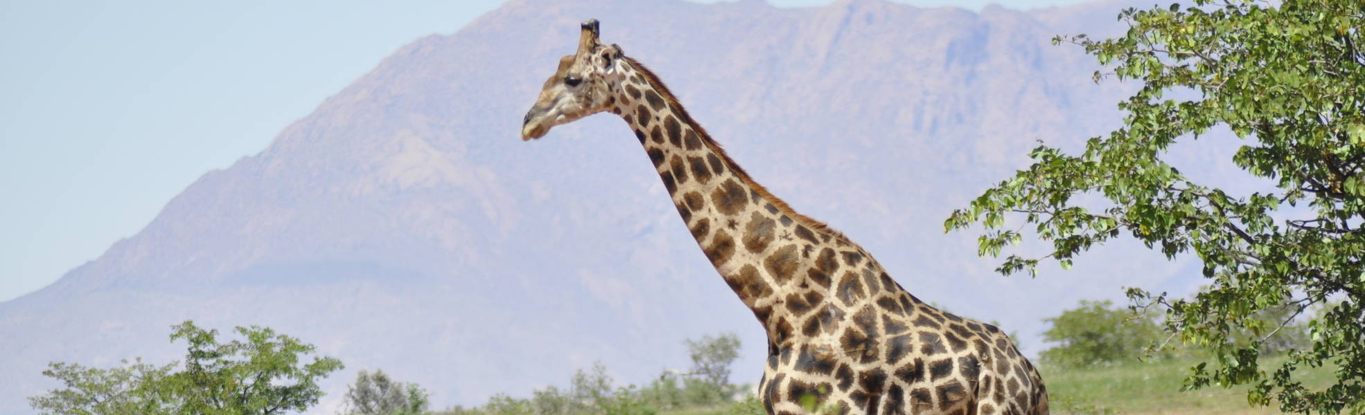 Freiwilligenarbeit Namibia