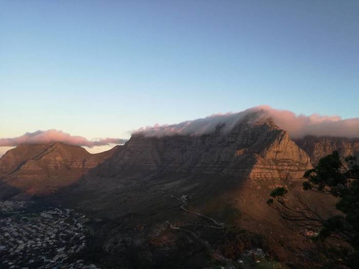 Meine Freiwilligenarbeit im Tierschutz in Südafrika