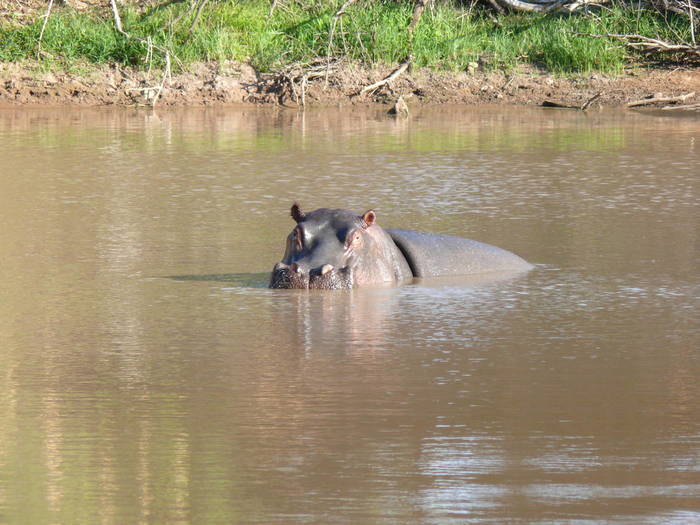 Volunteer-Bericht aus einem Nationalpark in Südafrika