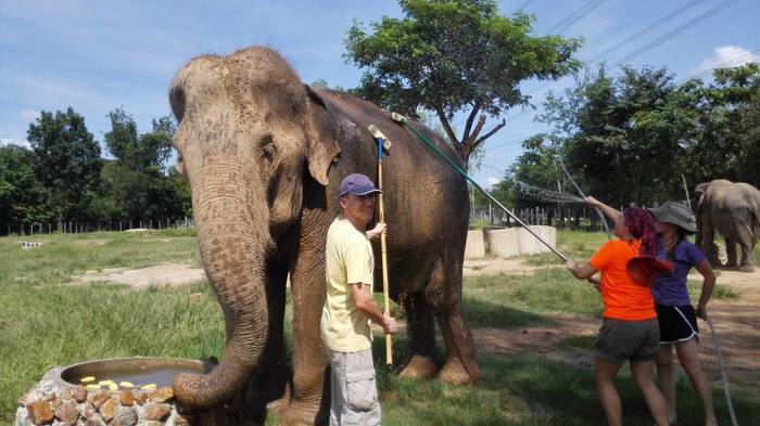 Wildlife Projekt in Thailand