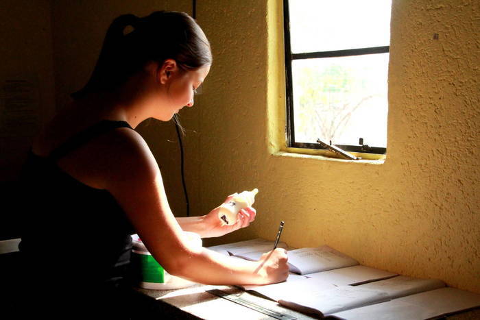 Meine Erfahrungen im Affenschutz-Projekt in Südafrika