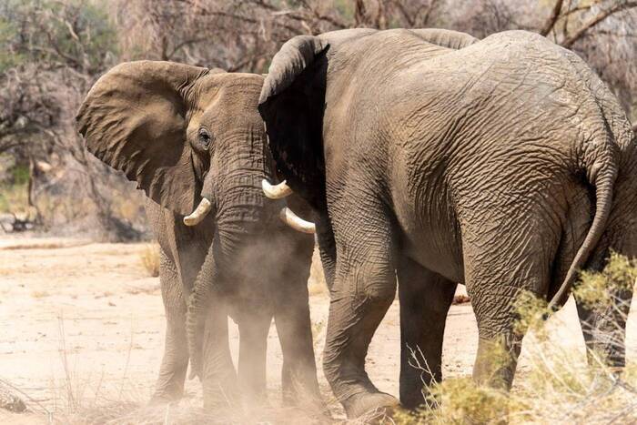 Namibia Kindergartenprojekt
