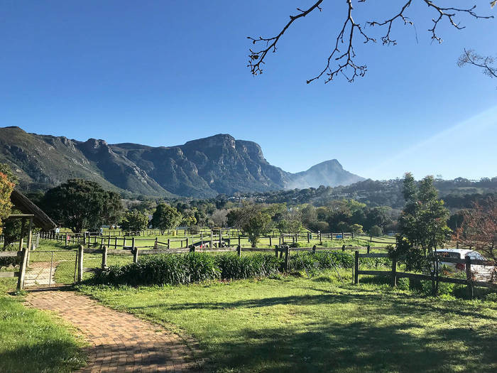 Freiwilligenarbeit in der Reittherapie 