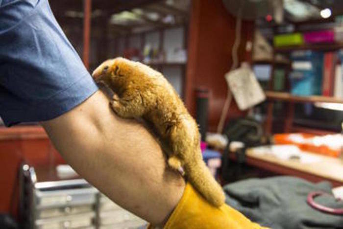 Tierstation in Costa Rica