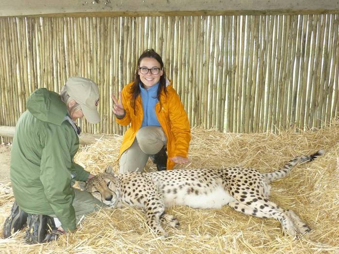 Freiwilligenarbeit Wiltiere Afrika