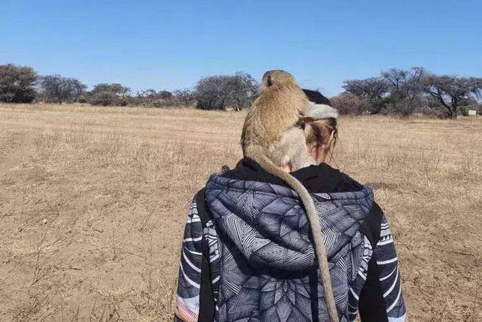 Erfahrungsbericht Namibia Wildlife