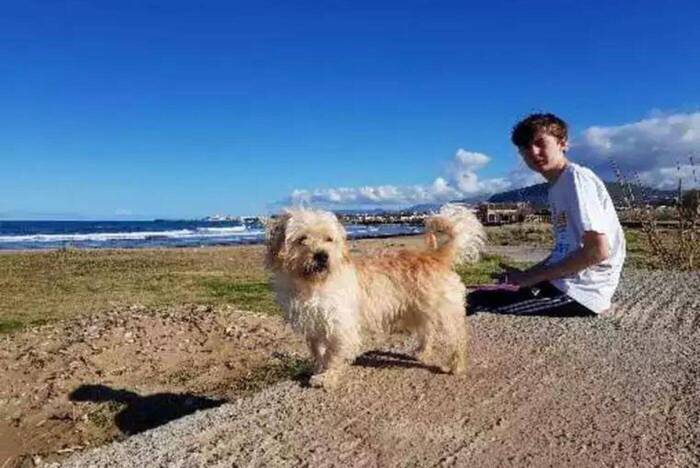 Freiwilligenarbeit im Tierheim auf Kreta