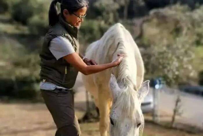 Volunteering mit Pferden in Andalusien