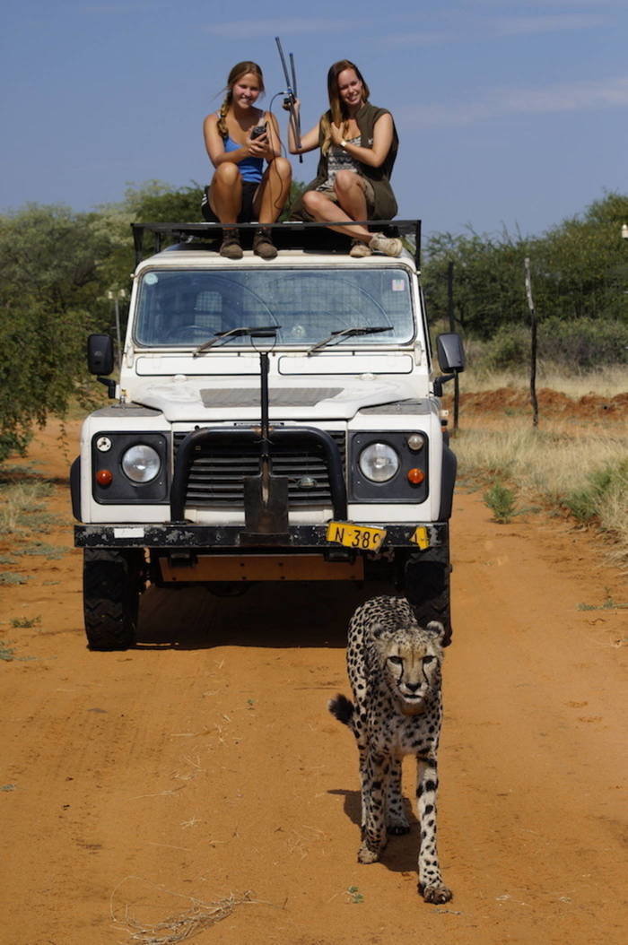 Freiwilligenarbeit Wildlife Namibia Erfahrungsbericht