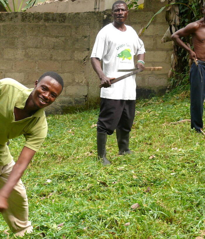 Geburtshilfe und Farmarbeit in Ghana Erfahrungsbericht