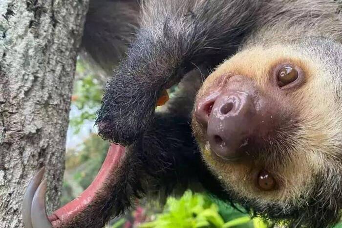 Freiwilligenarbeit Costa Rica 