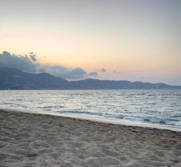 Freiwilligenarbeit im Tierheim auf Kreta