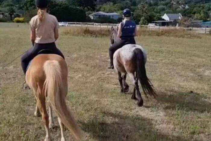 Listenbild_Erfahrungsbericht_Reittherapie_Südafrika