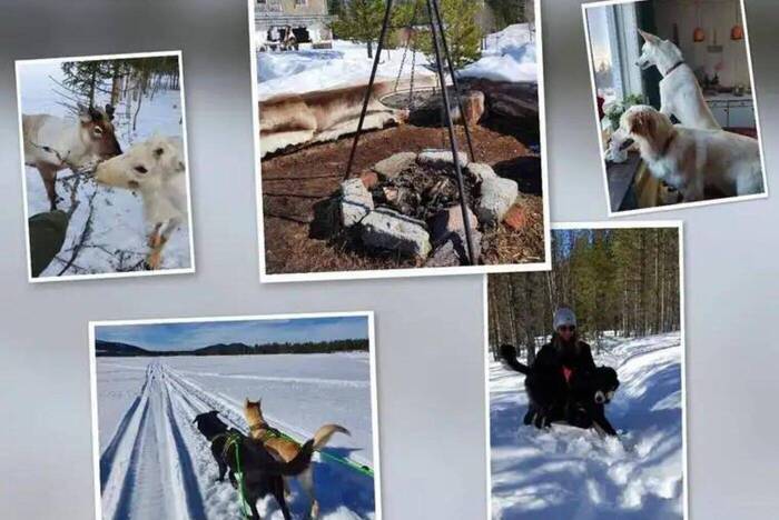 Freiwilligenarbeit auf der Husky-Farm
