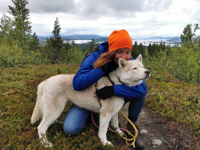Volunteer with Husky while volunteering in Sweden