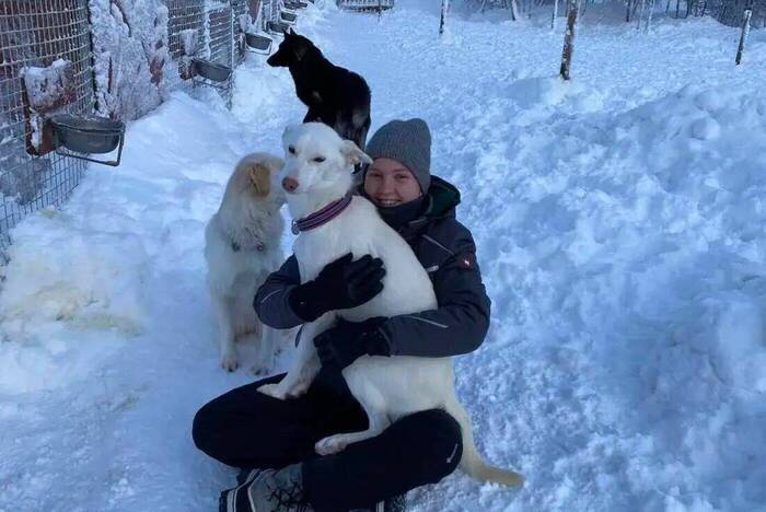 Hannahs Freiwilligenarbeit im Husky-Projekt in Schweden