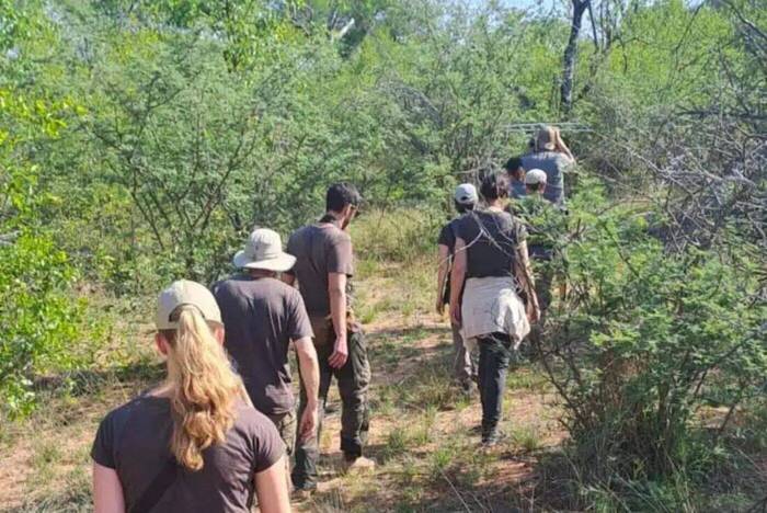 Volunteering mit RGV im Big Five Projekt in Südafrika