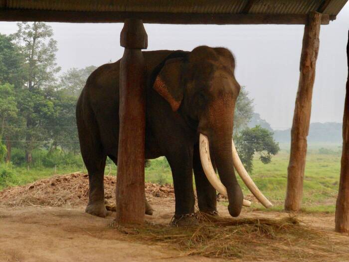 Papier-Recycling Nepal