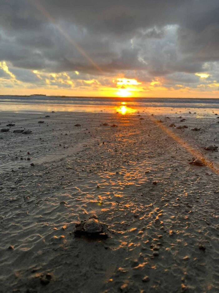 Mara beim Tierschutz im Naturreservat am Pazifik