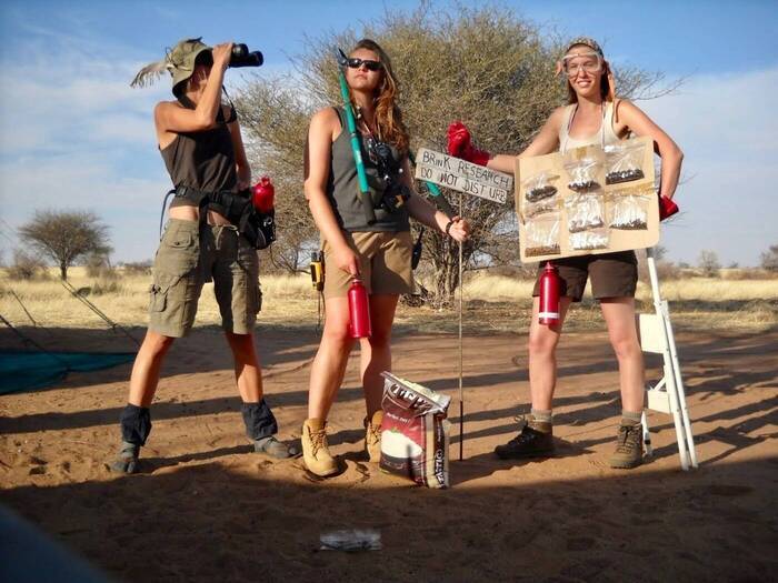 Volunteering oder Beruf