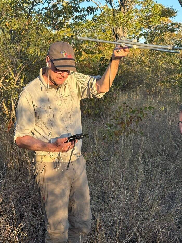 Rolands Zeit beim Wildlife-Volunteering in Simbabwe
