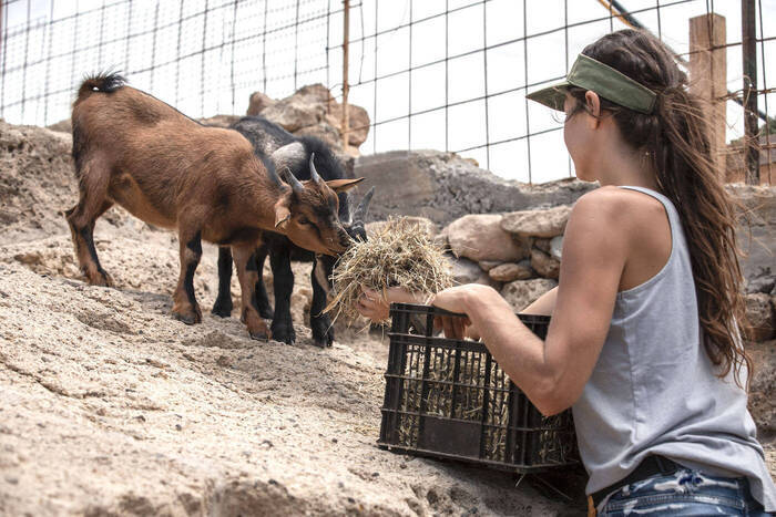 Hannas Zeit beim Tierschutz Projekt auf Teneriffa