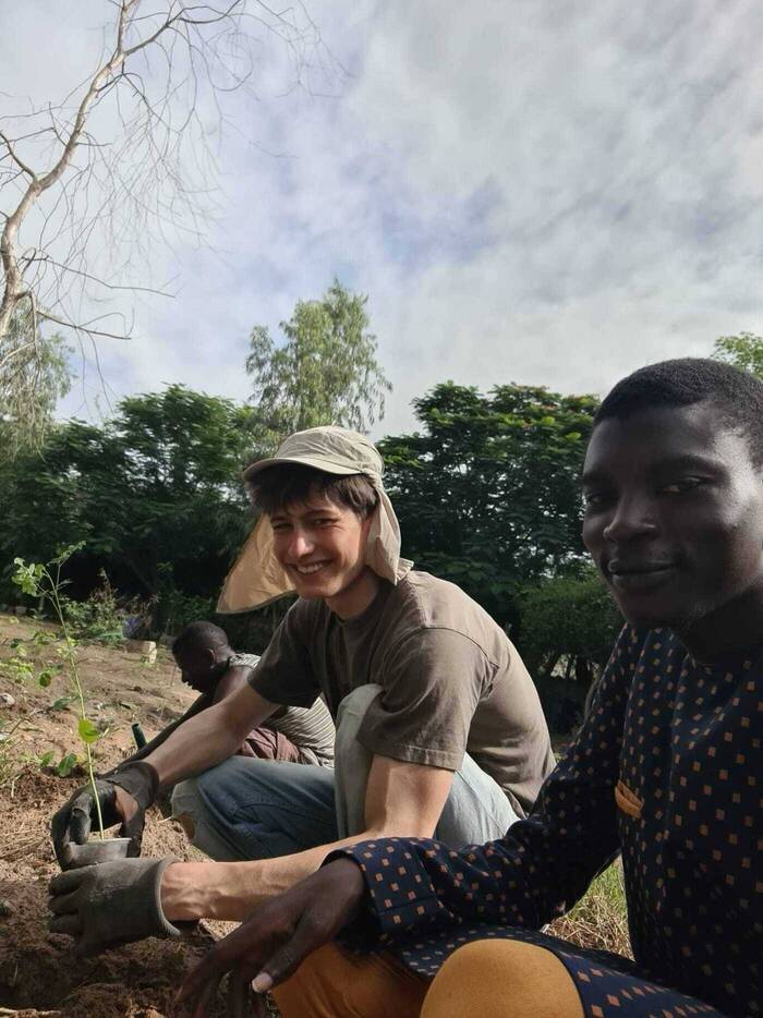 Hilfe beim Einpflanzen